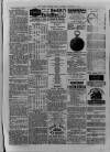 Dover Express Friday 07 November 1879 Page 7