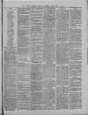 Dover Express Friday 25 February 1881 Page 3