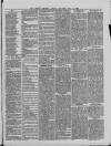 Dover Express Friday 06 May 1881 Page 3