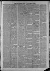 Dover Express Friday 09 February 1883 Page 3