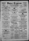 Dover Express Friday 11 January 1884 Page 1