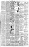 Dover Express Friday 12 April 1889 Page 7