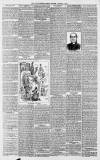 Dover Express Friday 02 January 1891 Page 6