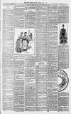 Dover Express Friday 05 June 1891 Page 3