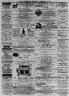 Cornishman Thursday 28 November 1878 Page 2
