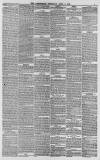 Cornishman Thursday 03 April 1879 Page 7