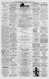 Cornishman Thursday 16 June 1881 Page 3