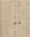 Cornishman Thursday 07 March 1901 Page 7