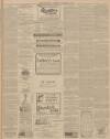 Cornishman Thursday 06 November 1902 Page 7