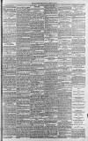 Lincolnshire Echo Saturday 25 February 1893 Page 3
