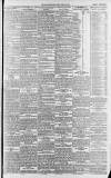 Lincolnshire Echo Friday 17 March 1893 Page 3