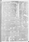 Lincolnshire Echo Friday 24 March 1893 Page 3
