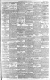 Lincolnshire Echo Friday 12 January 1894 Page 3