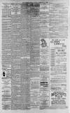 Lincolnshire Echo Friday 19 February 1897 Page 4