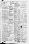 Lincolnshire Echo Saturday 11 February 1967 Page 3