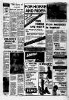 Lincolnshire Echo Saturday 01 August 1981 Page 7