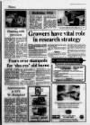 Lincolnshire Echo Tuesday 06 November 1990 Page 15