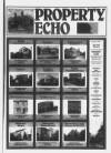 Lincolnshire Echo Friday 15 March 1991 Page 33