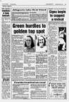 Lincolnshire Echo Thursday 20 June 1991 Page 53