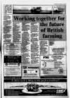 Lincolnshire Echo Tuesday 05 October 1993 Page 31