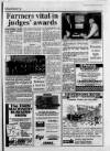 Lincolnshire Echo Tuesday 30 November 1993 Page 37