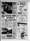 Lincolnshire Echo Wednesday 15 December 1993 Page 15