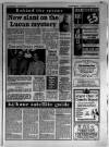 Lincolnshire Echo Wednesday 02 November 1994 Page 5