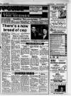 Lincolnshire Echo Monday 24 April 1995 Page 15