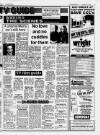 Lincolnshire Echo Tuesday 04 July 1995 Page 17