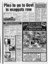 Lincolnshire Echo Wednesday 03 January 1996 Page 19