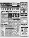 Lincolnshire Echo Wednesday 07 August 1996 Page 19