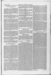 Surrey Mirror Saturday 26 July 1879 Page 3