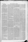 Surrey Mirror Saturday 01 November 1879 Page 3