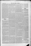 Surrey Mirror Saturday 01 November 1879 Page 7