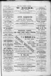 Surrey Mirror Saturday 01 November 1879 Page 11