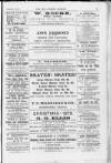 Surrey Mirror Saturday 13 December 1879 Page 11
