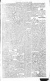 Surrey Mirror Saturday 16 July 1881 Page 5