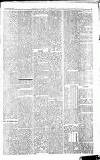 Surrey Mirror Saturday 10 September 1881 Page 5