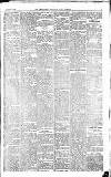 Surrey Mirror Saturday 24 December 1881 Page 3