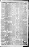 Surrey Mirror Friday 13 February 1931 Page 13