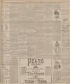 Leeds Times Saturday 22 June 1895 Page 7