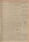 Leeds Times Saturday 10 November 1900 Page 11