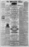 Whitstable Times and Herne Bay Herald Saturday 08 June 1872 Page 1