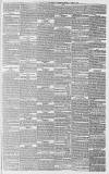 Whitstable Times and Herne Bay Herald Saturday 10 April 1875 Page 3