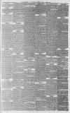 Whitstable Times and Herne Bay Herald Saturday 24 April 1875 Page 3