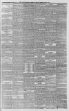 Whitstable Times and Herne Bay Herald Saturday 10 August 1878 Page 3