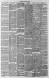 Whitstable Times and Herne Bay Herald Saturday 17 March 1888 Page 3