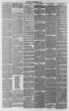 Whitstable Times and Herne Bay Herald Saturday 08 September 1888 Page 6