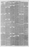 Whitstable Times and Herne Bay Herald Saturday 02 February 1889 Page 5