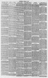 Whitstable Times and Herne Bay Herald Saturday 09 March 1889 Page 6